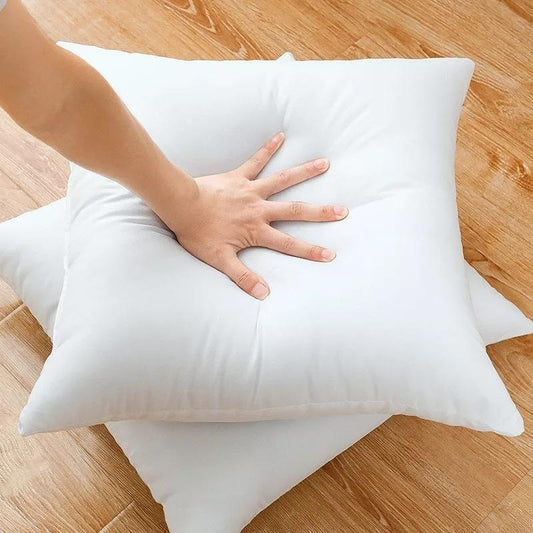 Filled Cushion (Pack of 2)