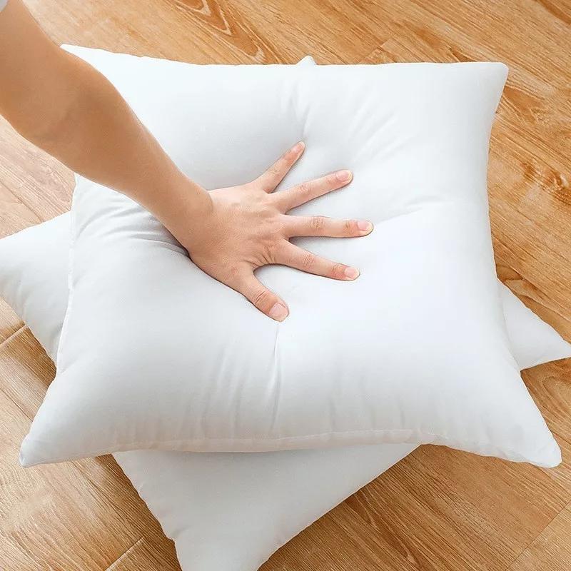 Filled Cushion (Pack of 2)